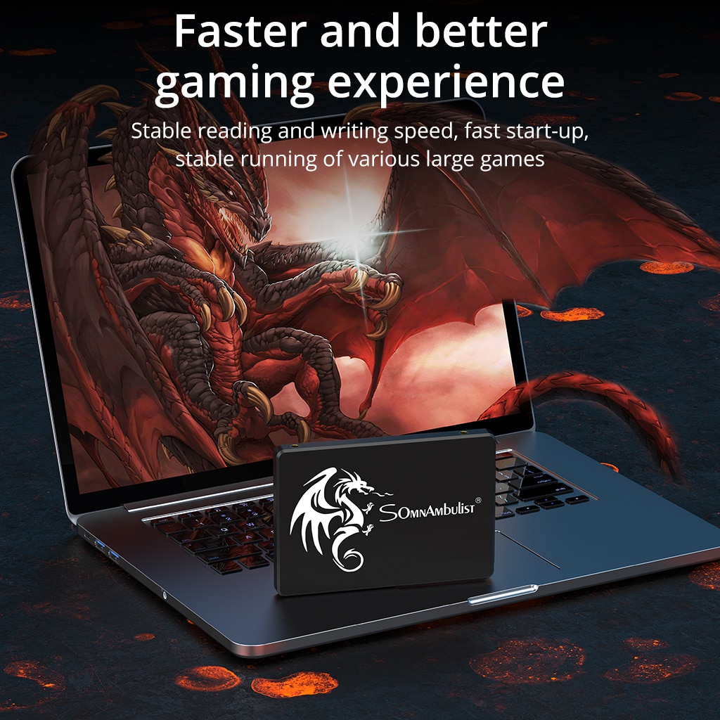 SomnAmbulist SSD 120GB 240GB 4 - Ssd 500Gb incelemesi ve fiyatı
